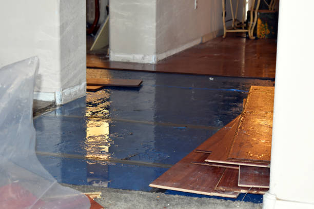 Professional Water Damage technician working in Akron, CO